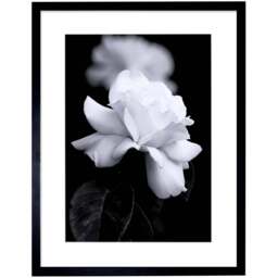 Wee Blue Coo Black and White Rose Petal Flower Photo Framed Wall Art Print 30 x 41cm - Size: 43.3 x 33.3 x 1.5cm - Wilko - thumbnail 1