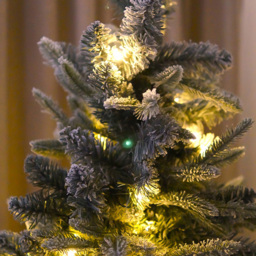 Xmas Haus Pre Lit Frosty Pine Artificial Christmas Tree 6ft - White - Wilko - thumbnail 4