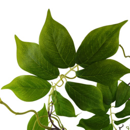 Leaf White Wisteria Bush Artificial Tree in Pot 90cm - Size: 90 x 60 x 60cm - Wilko - thumbnail 3
