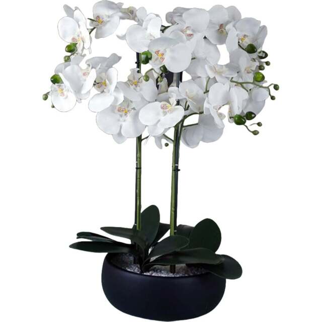 Botanik White Orchid Artificial Tree in Black Ceramic Planter 60cm - Size: 60 x 40 x 40cm - Wilko - image 1