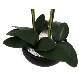 Botanik White Orchid Artificial Tree in Black Ceramic Planter 60cm - Size: 60 x 40 x 40cm - Wilko - thumbnail 4