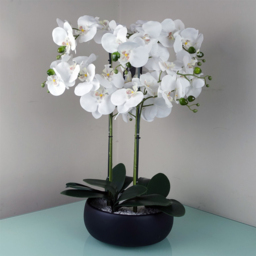 Botanik White Orchid Artificial Tree in Black Ceramic Planter 60cm - Size: 60 x 40 x 40cm - Wilko - thumbnail 3