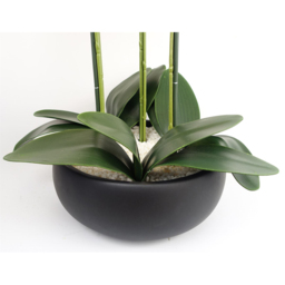 Botanik White Orchid Artificial Tree in Black Ceramic Planter 60cm - Size: 60 x 40 x 40cm - Wilko - thumbnail 5
