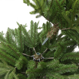 Ashford Fir Tree Green 5ft - Wilko - thumbnail 6