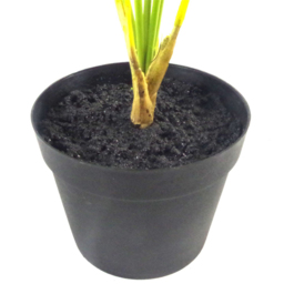 Botanik Areca Bonsai Artificial Tree in Pot 50cm - Size: 50 x 50 x 50cm - Green - Wilko - thumbnail 3
