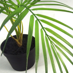 Botanik Areca Bonsai Artificial Tree in Pot 50cm - Size: 50 x 50 x 50cm - Green - Wilko - thumbnail 4