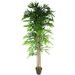 Botanik Natural Bamboo Artificial Tree in Pot 6ft - Size: 180 x 70 x 70cm - Green - Wilko