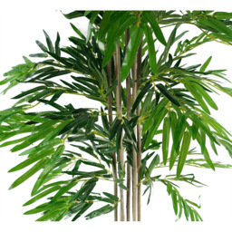 Botanik Natural Bamboo Artificial Tree in Pot 6ft - Size: 180 x 70 x 70cm - Green - Wilko - thumbnail 5