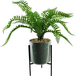 Botanik Artificial Fern Plant in Pot with Stand 40cm - Size: 40 x 35 x 35cm - Green - Wilko
