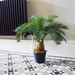 Botanik Cycas Palm Artificial Tree in Pot 60cm - Size: 60 x 60 x 60cm - Green - Wilko - thumbnail 5