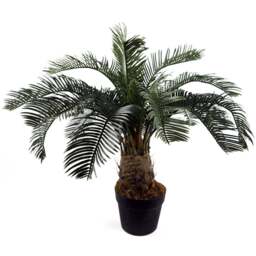 Botanik Cycas Palm Artificial Tree in Pot 60cm - Size: 60 x 60 x 60cm - Green - Wilko - thumbnail 1