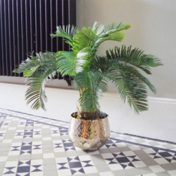 Botanik Cycas Palm Artificial Tree in Pot 60cm - Size: 60 x 60 x 60cm - Green - Wilko - thumbnail 7