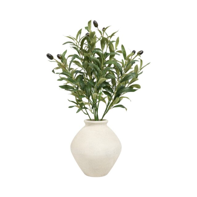 Potted Olive Tree2 - Wilko - image 1