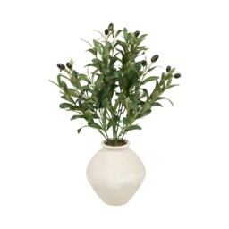 Potted Olive Tree2 - Wilko - thumbnail 5