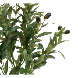 Potted Olive Tree2 - Wilko - thumbnail 4