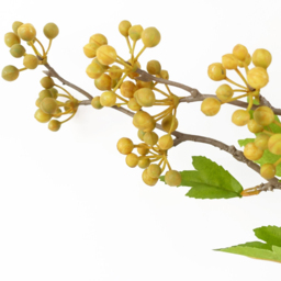 Leaf Yellow Berry Artificial Stem 90cm 6 Pack - Size: 90 x 10 x 10cm - Wilko - thumbnail 4