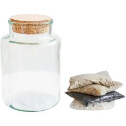 Ivyline Large Bottle Shape Terrarium DIY Kit 26.5 x 19cm - Size: 26.5 x 19 x 19cm - Clear - Wilko - thumbnail 1