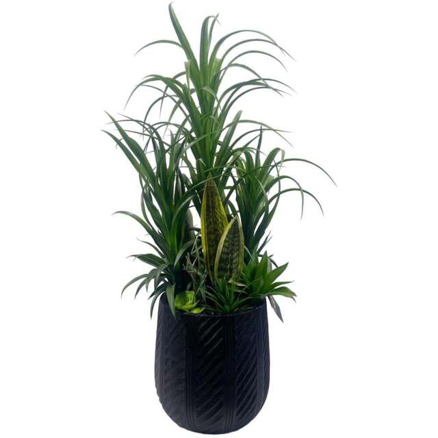 Leaf Yukka Display Artificial Plant in Pot 3ft - Size: 107 x 70 x 70cm - Pink - Wilko - image 1