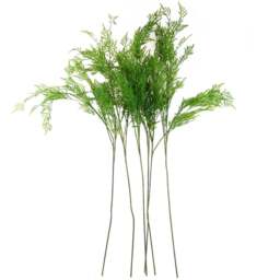 Leaf Boston Filler Single Stem Artificial Fern 6 Pack - Size: 120 x 15 x 15cm - Green - Wilko - thumbnail 1