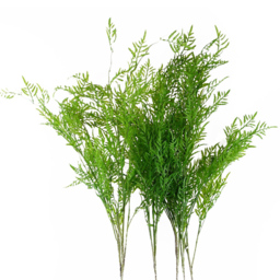 Leaf Boston Filler Single Stem Artificial Fern 6 Pack - Size: 120 x 15 x 15cm - Green - Wilko - thumbnail 4