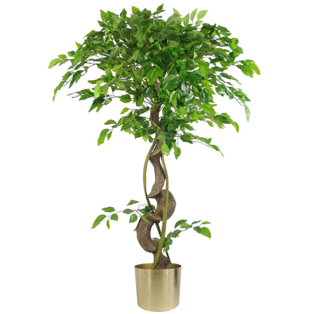 Leaf Japanese Fruticosa Ficus Artificial Tree in Gold Planter 3.9ft - Size: 120 x 60 x 60cm - Green - Wilko - image 1