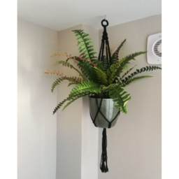 Botanik Boston Nest Fern Artificial Plant in Pot 60cm - Size: 60 x 50 x 50cm - Green - Wilko - thumbnail 5