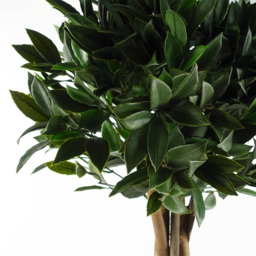 Leaf Artificial Bay Laurel Topiary Tree 120cm - Size: 120 x 50 x 50cm - Green - Wilko - thumbnail 3