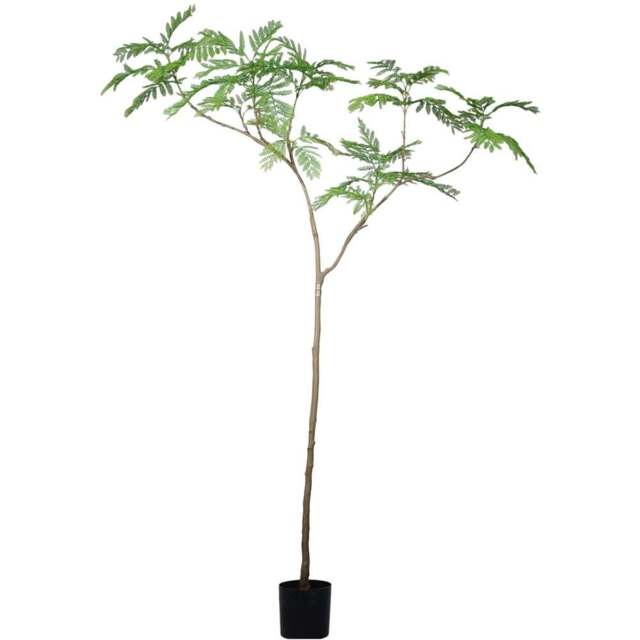 Botanik Jacaranda Artificial Tree in Pot 8ft - Size: 240 x 120 x 120cm - Green - Wilko - image 1