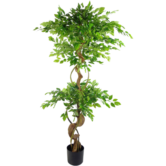 Leaf Twisted Trunk Japanese Fruticosa Ficus Artificial Tree in Plastic Pot 5ft - Size: 150 x 60 x 60cm - Green - Wilko - image 1
