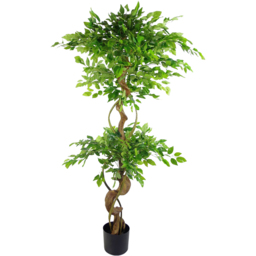 Leaf Twisted Trunk Japanese Fruticosa Ficus Artificial Tree in Plastic Pot 5ft - Size: 150 x 60 x 60cm - Green - Wilko - thumbnail 1
