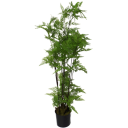 Botanik Natural Look Moss Fern Artificial Plant in Silver Planter 4.9ft - Size: 150 x 60 x 60cm - Green - Wilko - thumbnail 4