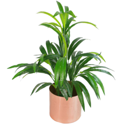 Leaf Artificial Bamboo Leaf Shrub in Brushed Copper Planter 65cm - Size: 65 x 40 x 40cm - Green - Wilko - thumbnail 1