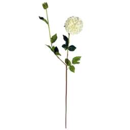 Leaf Cream Dahlia Pom Pom Artificial Flower Stem 75cm 6 Pack - Size: 75 x 13 x 13cm - Wilko