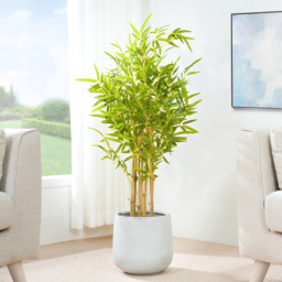 Bamboo Tree Indoor Artificial Plant 110cm - Size: 110 x 30 x 30cm - Green - MCC - Wilko - thumbnail 3