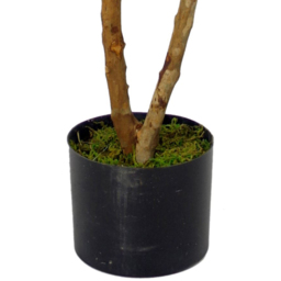 Leaf Ficus Artificial Tree in Pot 100cm - Size: 100 x 60 x 60cm - Green - Wilko - thumbnail 3