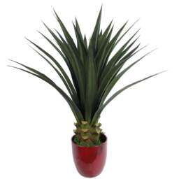 Leaf Yukka Tropical Artificial Plant in Pot 90cm - Size: 90 x 40 x 40cm - Green - Wilko - thumbnail 1