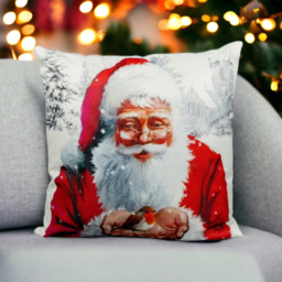 Xmas Haus Festive Santa and Robin Christmas Cushion 40 x 40cm - Size: 400 x 400 x 150cm - White - Wilko - thumbnail 3
