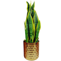 Botanik Gold Honeycomb Metal Planter 18 x 15.5cm - Size: 18 x 15.5 x 15.5cm - Wilko - thumbnail 4
