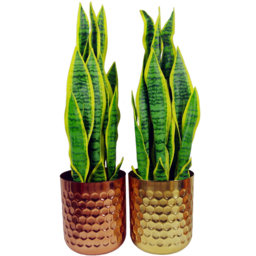 Botanik Gold Honeycomb Metal Planter 18 x 15.5cm - Size: 18 x 15.5 x 15.5cm - Wilko - thumbnail 3