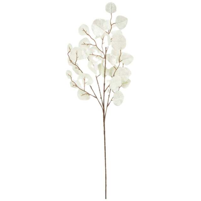 Velvet Eucalyptus SprayCream - Wilko - image 1