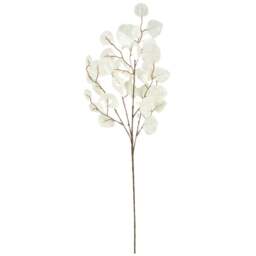 Velvet Eucalyptus SprayCream - Wilko - thumbnail 1