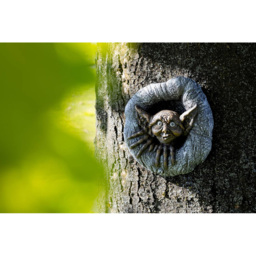 Marco Paul Tree Peeker Goblin Garden Ornament - Size: 20 x 20 x 34.8cm - Grey - Wilko - thumbnail 7