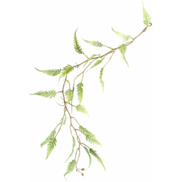 Botanik Green Trailing Fern Hanging Artificial Plant 4ft - Size: 125 x 30 x 20cm - Wilko - thumbnail 5