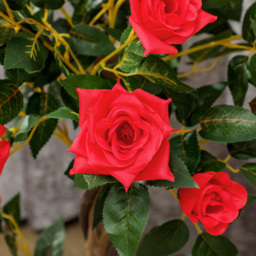 Portland Red Rose Artificial Tree in Pot 90cm 2 Pack - Size: 90 x 18 x 18cm - Multi - Wilko - thumbnail 4