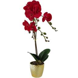 Botanik Red Leopard Phalaenopsis Orchid Artificial Plant in Gold Pot 50cm - Size: 50 x 20 x 20cm - Wilko