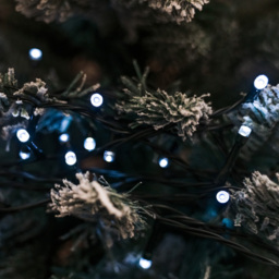 The Christmas Centre 50 Bright White LED Multifunction Green Cable String Light 5m - Size: 500 x 0.5 x 1cm - Wilko - thumbnail 6