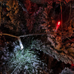 Samuel Alexander 200 Red and White LED Christmas String Light - Size: 5 x 1600 x 5cm - Multi - Wilko - thumbnail 3