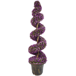 Leaf Artificial Purple Large Leaf Spiral with Decorative Planter 120cm - Size: 120 x 35 x 35cm - Wilko