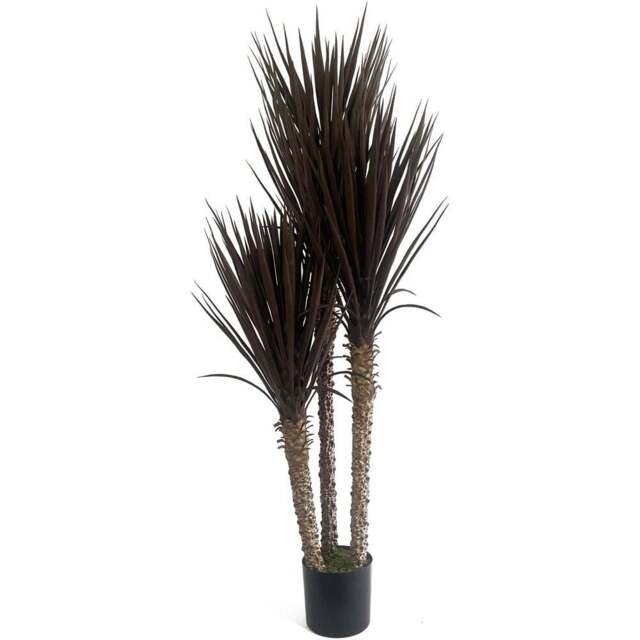 Botanik Dark Red and Brown Yukka Artificial Tree Plant 5ft - Size: 155 x 60 x 60cm - Wilko - image 1