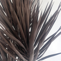 Botanik Dark Red and Brown Yukka Artificial Tree Plant 5ft - Size: 155 x 60 x 60cm - Wilko - thumbnail 6